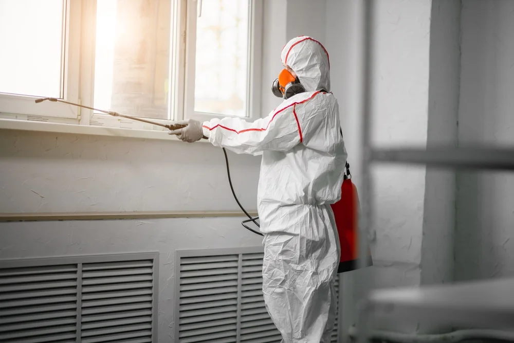 Professional mold remediation services in Milldale, CT